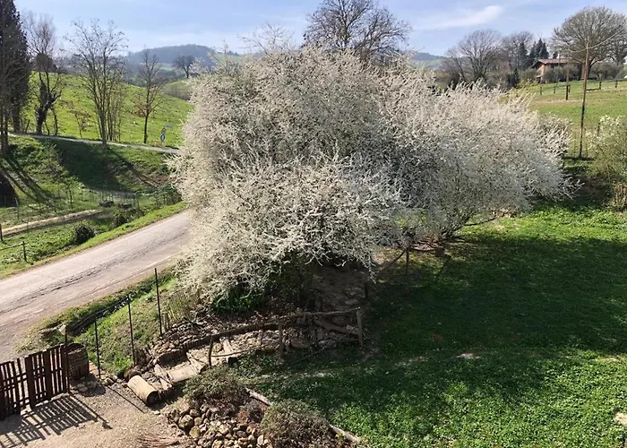 Palazzo Giulia * 布里西盖拉